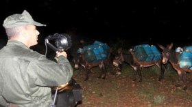 سعر‭ ‬الحمار‭ ‬ينافس‭ ‬السيارات‭ ‬في‭ ‬بؤر‭ ‬التهريب‭ ‬بسوق‭ ‬أهراس