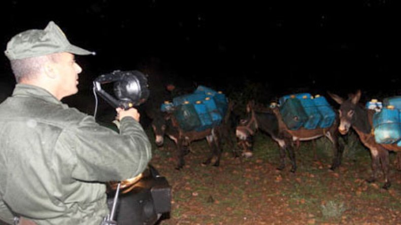 سعر‭ ‬الحمار‭ ‬ينافس‭ ‬السيارات‭ ‬في‭ ‬بؤر‭ ‬التهريب‭ ‬بسوق‭ ‬أهراس