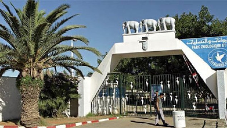 حسناء تطارد عشرات الضحايا بحديقة التسلية ببن عكنون