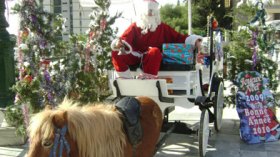 جزائريون يشعلون حرب تذاكر لاحتفالات رأس السنة