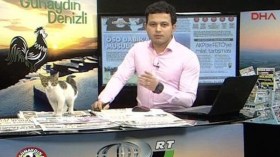 قط يقتحم برنامجاً تلفزيونياً ويجلس أمام المذيع