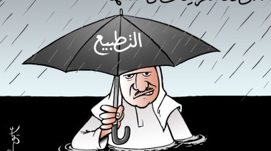 الأنظمة العربية