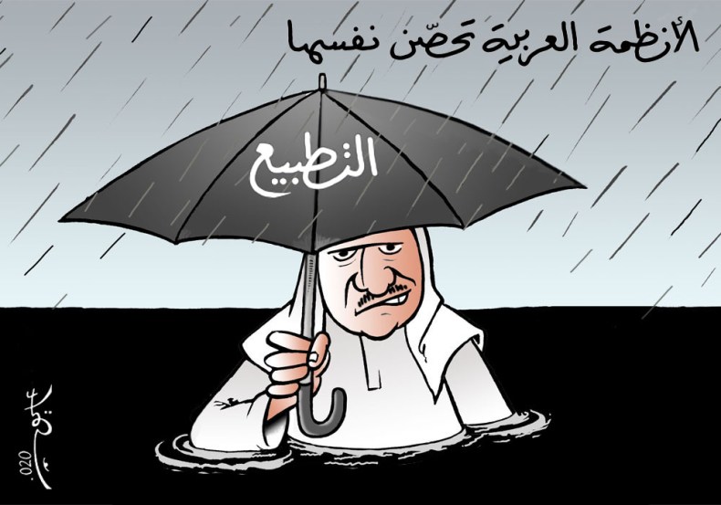 الأنظمة العربية