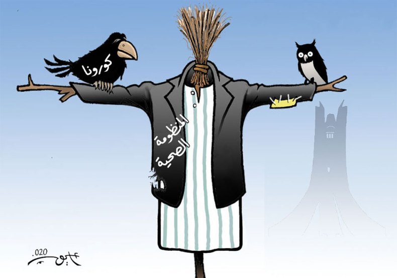 المنظومة الصحية