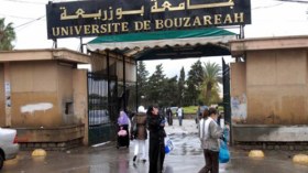 تأجيل الندوة الوطنية حول تقييم نظام “أل أم دي” إلى جانفي القادم