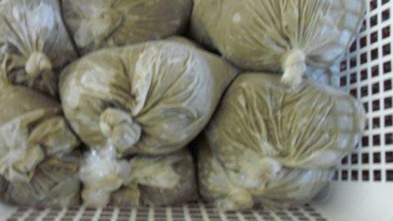 فلفل أسود مغشوش يسبب السرطان يعرض بأسواق الجنوب