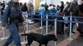 واشطن تشدد إجراءات دخول مطاراتها على القادمين من الجزائر