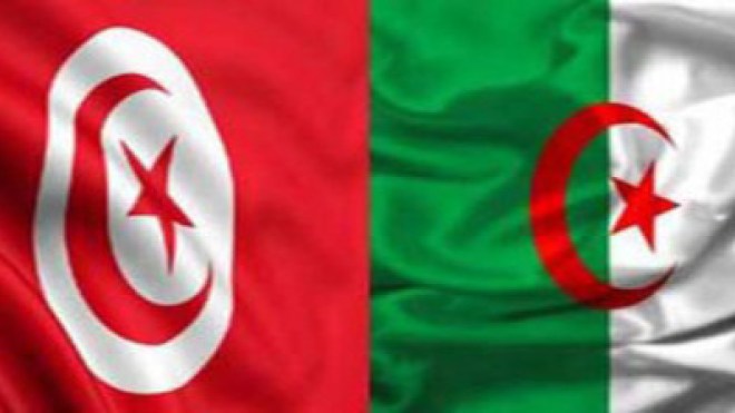 تعاون جزائري-تونسي  في المجال الطاقوي