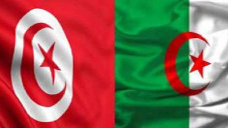 تعاون جزائري-تونسي  في المجال الطاقوي