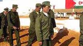 أكثر من 561 أسير صحراوي في سجون المغرب