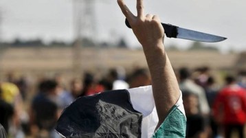 لله درّكم‮ ‬يا أسود فلسطين