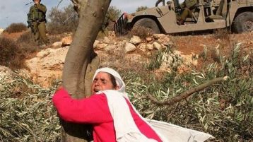 فقبّل شهيدا،‮ ‬على أرضها‮…