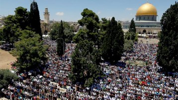 علَم للثورة في‮ ‬انتفاضة الحجارة