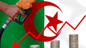 الزلط والتفرعين‮!‬