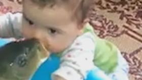 قُبلات بين طفل وسمكة