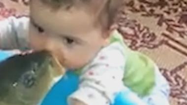 قُبلات بين طفل وسمكة