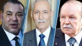البوليزاريو يلاحق المغرب بأدغال إفريقيا.. والمخزن يعلق فشله بإتهام الجزائر