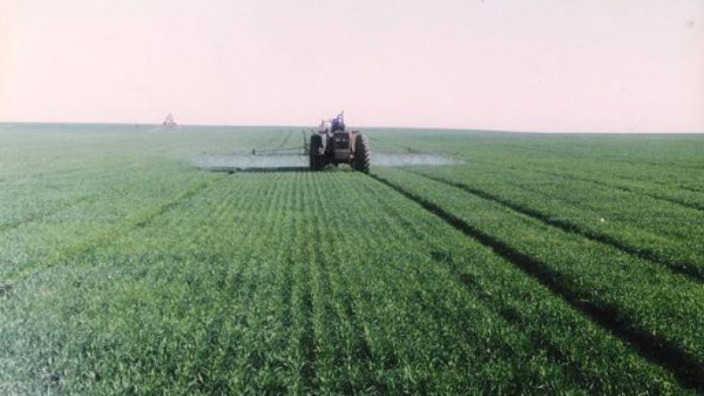 الجزائر تتوقع مردودا متوسطا في إنتاج الحبوب