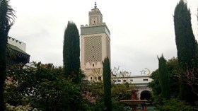Le président Tebboune reçoit le nouveau recteur de la Grande mosquée de Paris