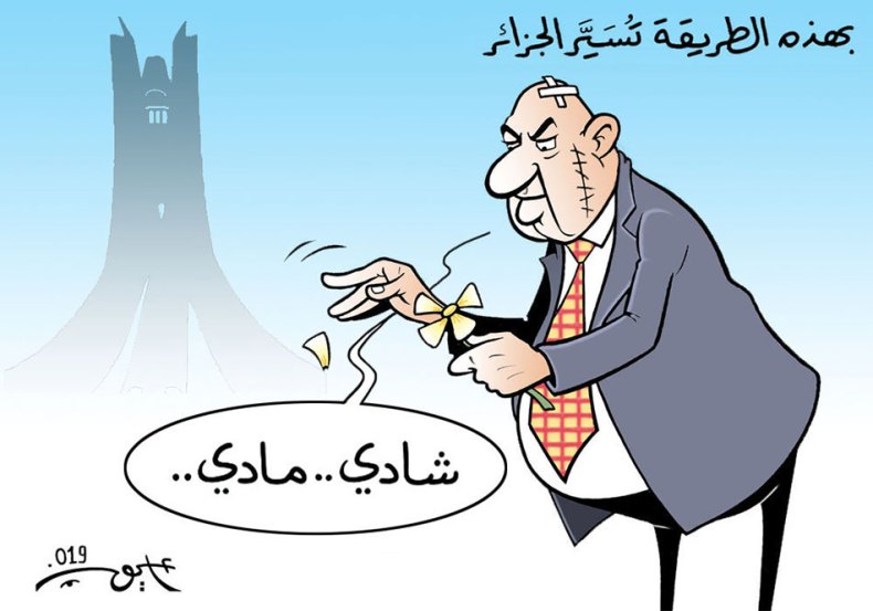 تسيير الجزائر