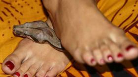 هذه أغرب وصفات التجميل في العالم.. تعرفي عليها؟!