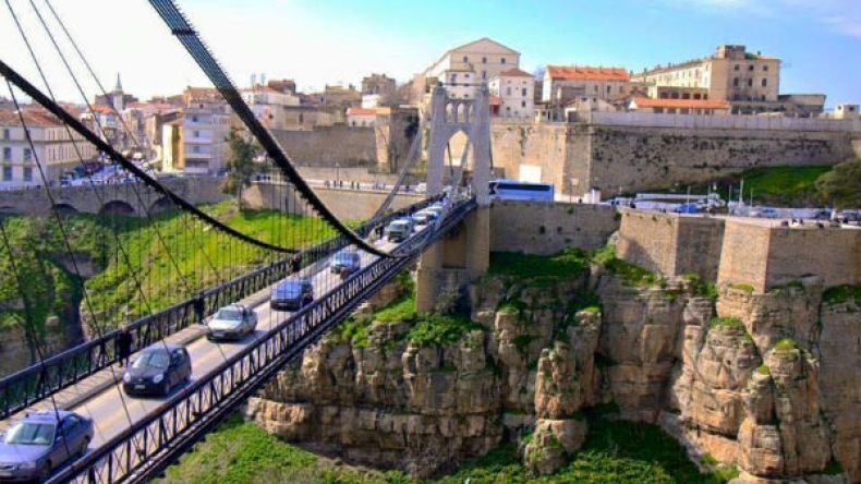 500 جزائرية للمشاركة في حلّ نزاعات البلدان الإفريقية