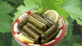 ورق العنب.. ينشط الكبد ويحمى النساء من هشاشة العظام