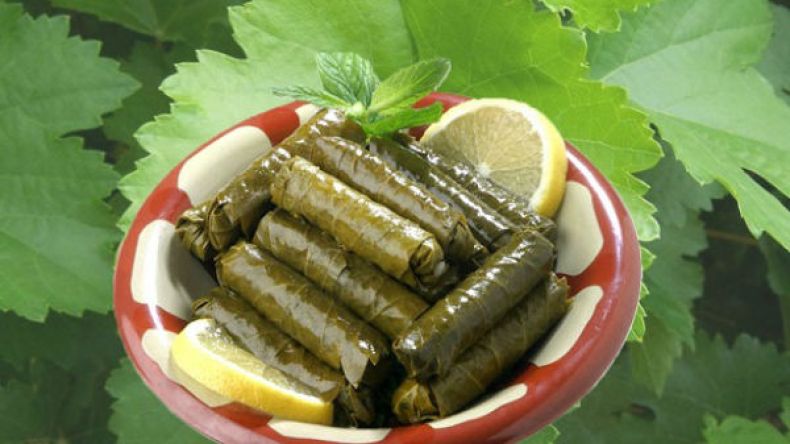 ورق العنب.. ينشط الكبد ويحمى النساء من هشاشة العظام