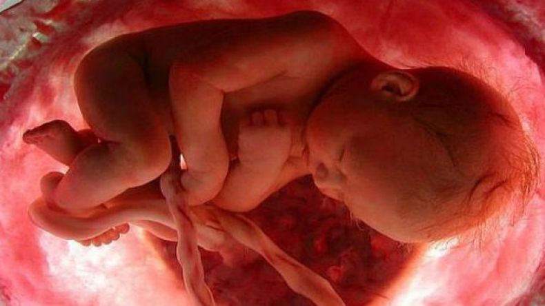 دراسة ألمانية: توتر الحامل يؤثّر على حجم الجنين