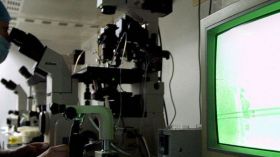 مركز طبي هولندي يحقق في قضية تلقيح 26 امرأة عن طريق الخطأ