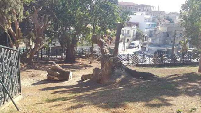 سكان حي الياسمين بالمدنية يعيدون واجهة حيهم المشرق