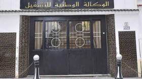 القطاع الخاص يدعم سوق الشغل بمئات المناصب بغرداية