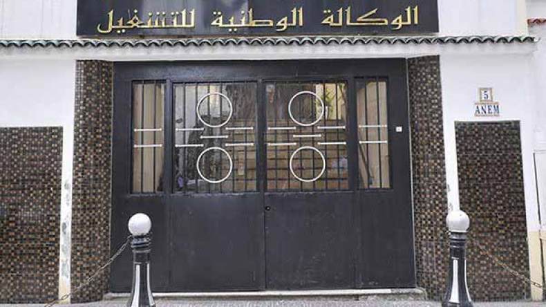 القطاع الخاص يدعم سوق الشغل بمئات المناصب بغرداية