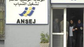 “لونساج” تشكو ضغط آلاف طلبات الشباب على القروض