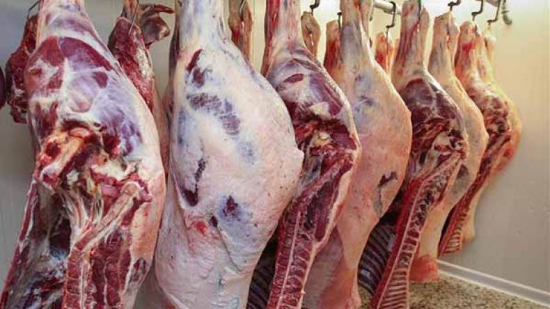 تراجع أسعار المواشي واللحوم بالجلفة