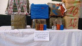 توقيف ثلاثة تجار مخدرات بتلمسان ووهران وسطيف