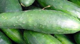 بن عيسى للشروق:الجزائريون في مأمن من “بكتيريا الخيار”