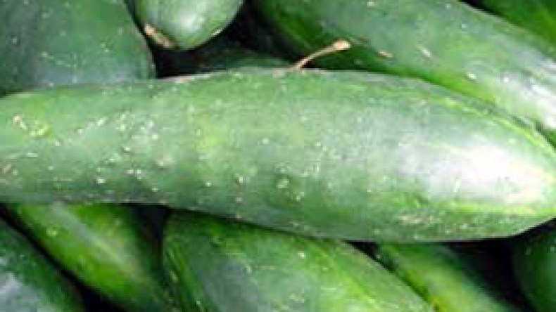 بن عيسى للشروق:الجزائريون في مأمن من “بكتيريا الخيار”