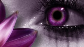 هذا قولهم في عيون النساء؟