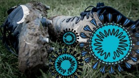 من وباء إيبولا إلى فيروس كورونا.. ملاعب الكرة في خطر