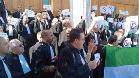 محامون بعنابة يحتجون ضد العهدة الخامسة