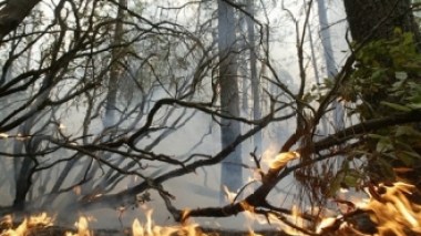 Bush déclare l'état d'urgence en Californie