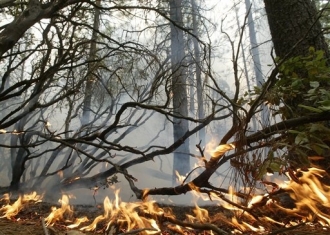 Bush déclare l'état d'urgence en Californie