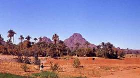 خسائر بالملايير بالقطاع الفلاحي بأدلس بتمنراست