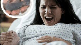 مغربية تنجب “أرنبا” ويتم تحويلها إلى القضاء!