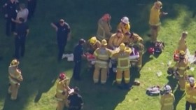 هاريسون فورد يسقط بطائرته في ملعب غولف