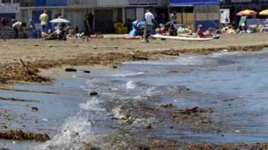 La pollution de 650 plages menace les ressources halieutiques de disparition