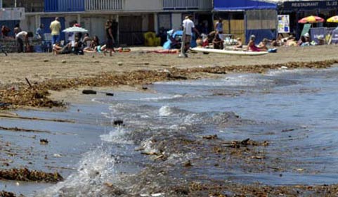 La pollution de 650 plages menace les ressources halieutiques de disparition