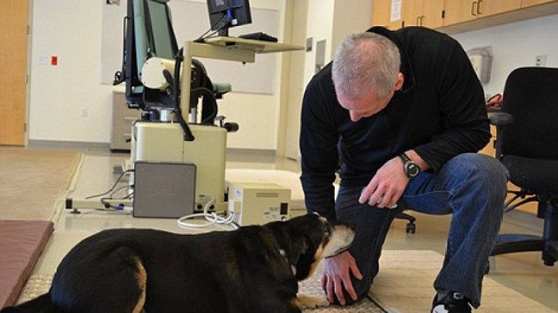 الكلاب.. أحدث وسيلة للكشف عن سرطان البروستاتا بنسبة 98 بالمائة