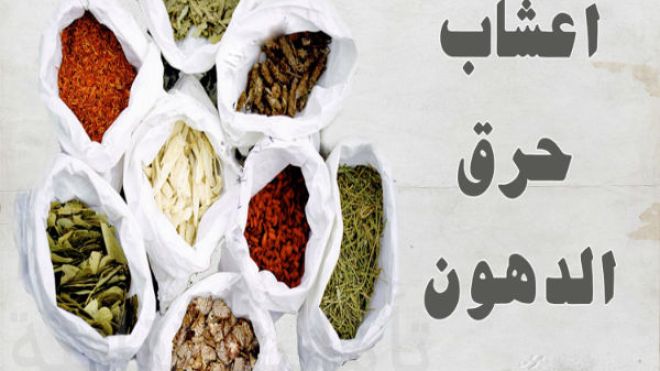 أعشاب التنحيف… إيجابياتها وسلبياتها